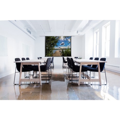 professional-plus-ceiling-recessed-electric-screen-220-x-165-cm-4-3